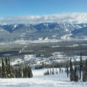 Kicking horse This message was sent from a Bell mobile phone.