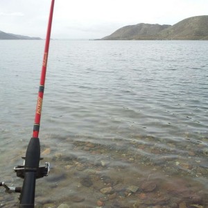 Been here since sunrise and caught nothing. The guy next to me just showed 