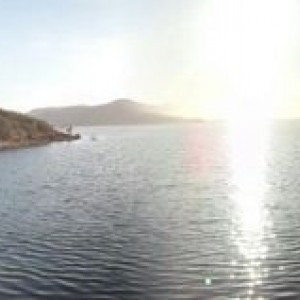 Panoramic view