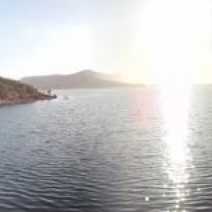 Panoramic view