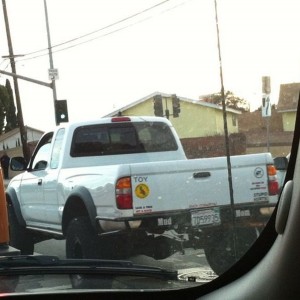 Random taco spotted