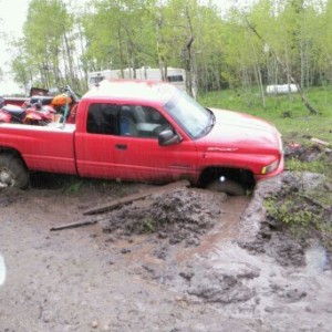 dodge_stuck_co2