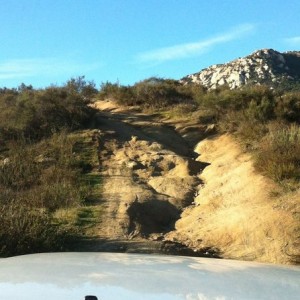 Just a little morning off roading this morning.