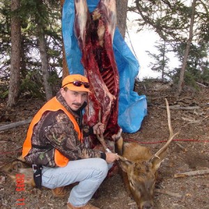 Elk Hunt