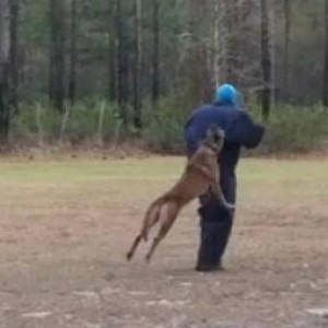 Screen_shot_2012-01-27_at_9_28_50_PM