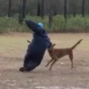 Screen_shot_2012-01-27_at_9_29_59_PM