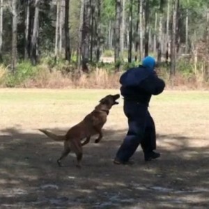 Screen_shot_2012-01-27_at_9_27_21_PM
