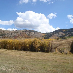 DSC016991