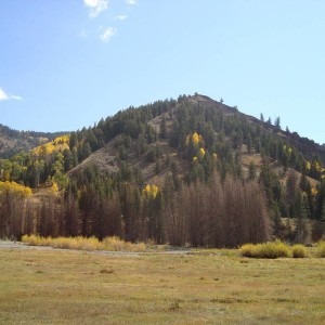 DSC017001