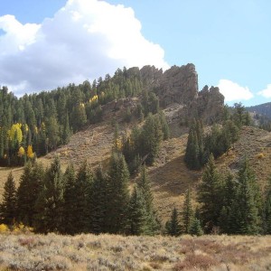 DSC017043