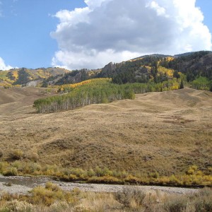 DSC017081