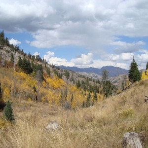 DSC017131
