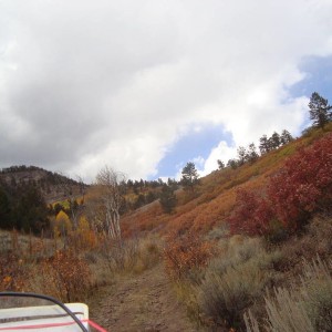 DSC017201