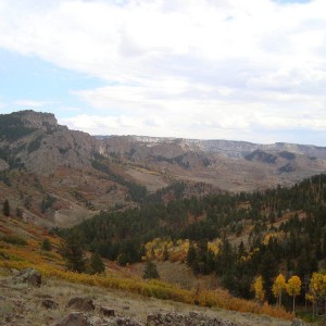 DSC017242