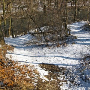 IMG_32542