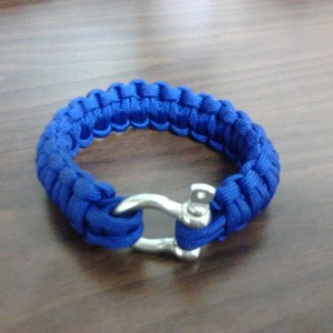 Bright Blue Sent from my Samsung Transform?