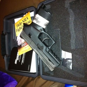 Early income tax money fever Sig Sauer P250 Compact 9mm