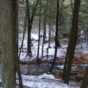 DSCF5073