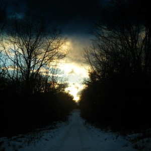 DSCF5102