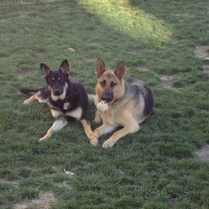 These guys r great to have around when ur having a bad/borring day. Love em