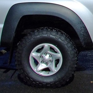 rear