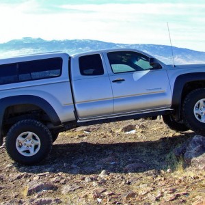 Taco
