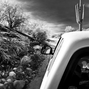 sycamore creek 1/30/12