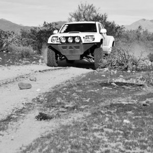 sycamore creek 1/30/12