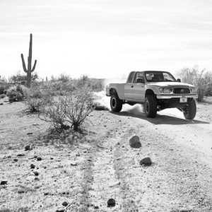 sycamore creek 1/30/12