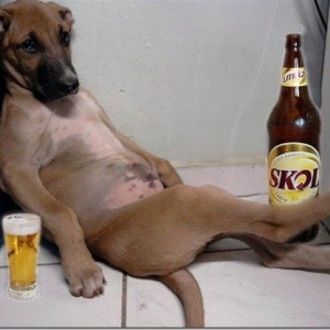 Jon's Doggy