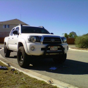new bull bar