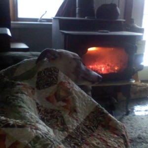Must be a tough day!