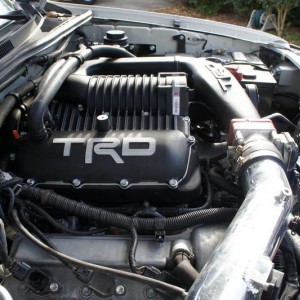 SC31