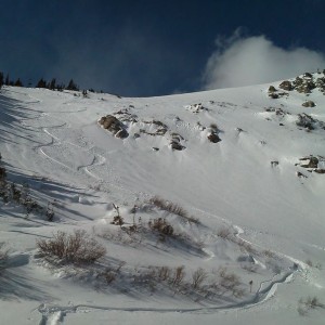 Fun was had