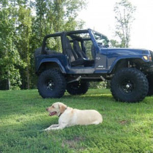 jeep tj for sale