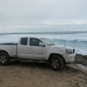 Kaena Point