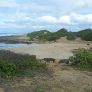 Kaena Point
