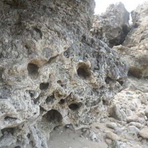 Kaena Point