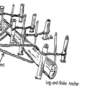 log_stake