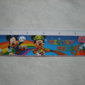 Plastic-Ruler