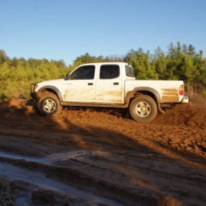 mud on the taco