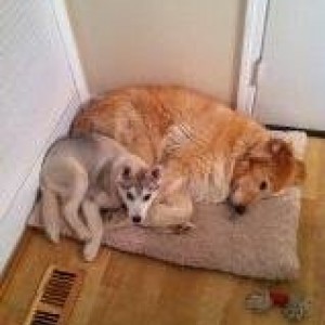 Juno_and_Zoie