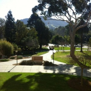Why must I have a midterm and meetings on a beautiful 80 degree day