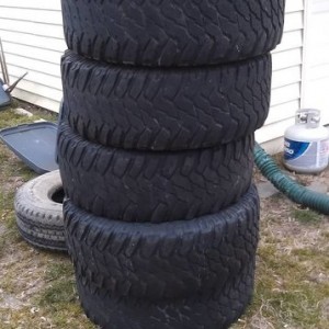 IMAG03184