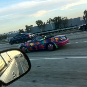What the..