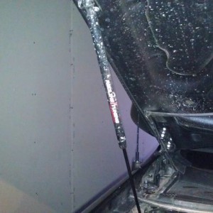 IMAG02654