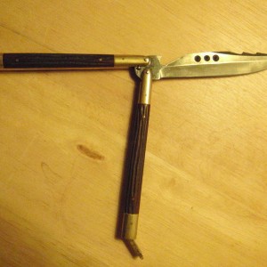 P2100016