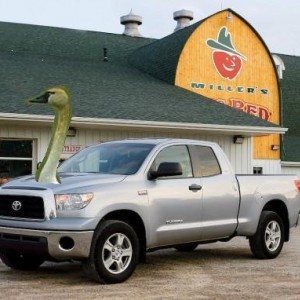 tundra3