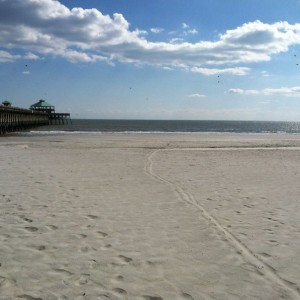 Folly beach!