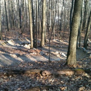 Berms_on_Furlough